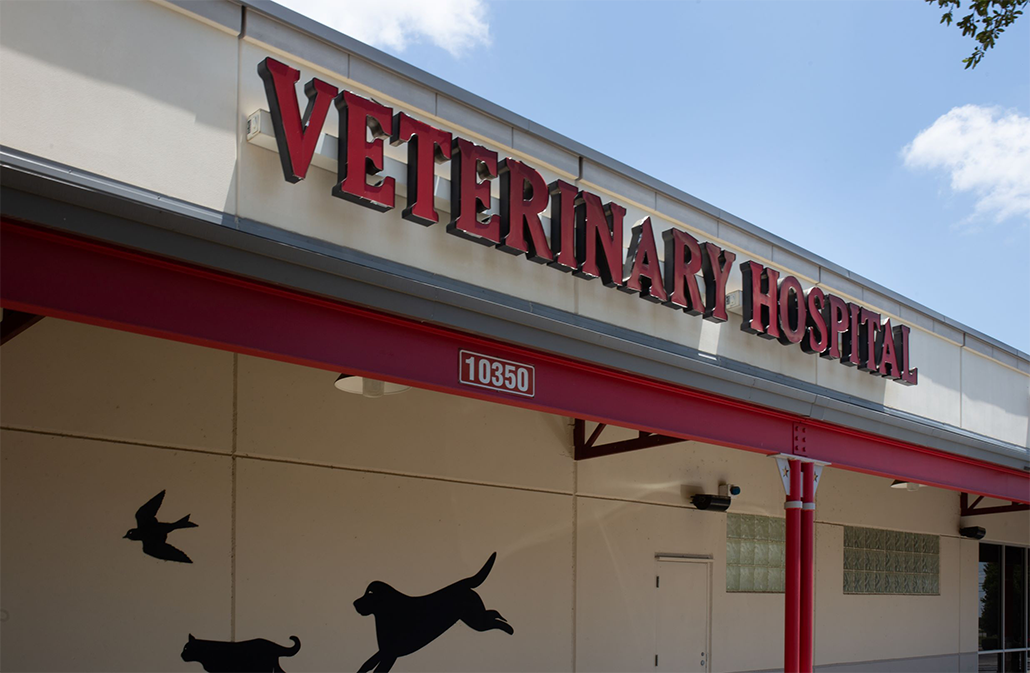 Image 2 | Town & Country Veterinary Hospital