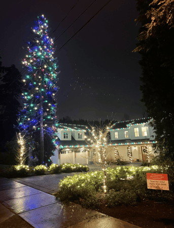 Images Bellevue Holiday Lighting