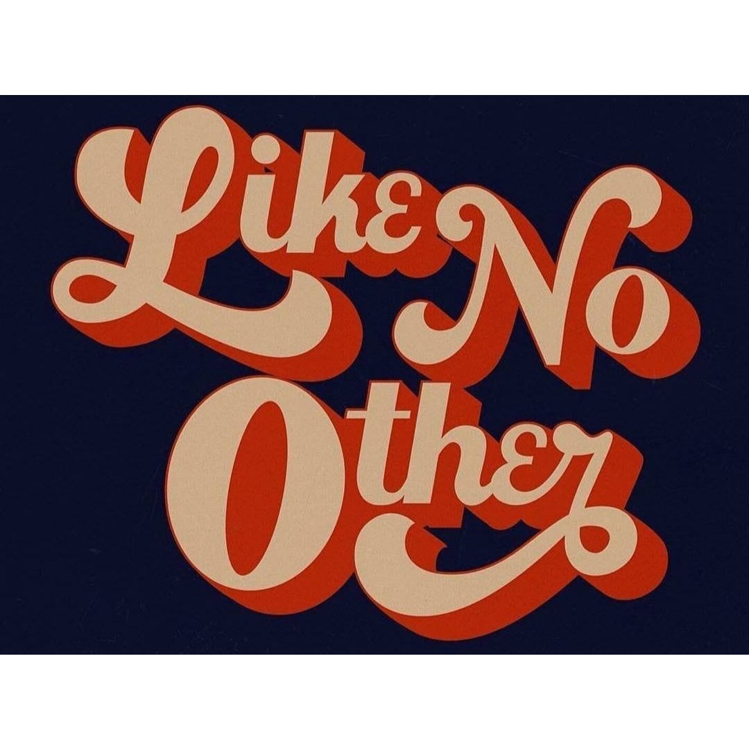 Like No Other Cleaning Solutions Logo