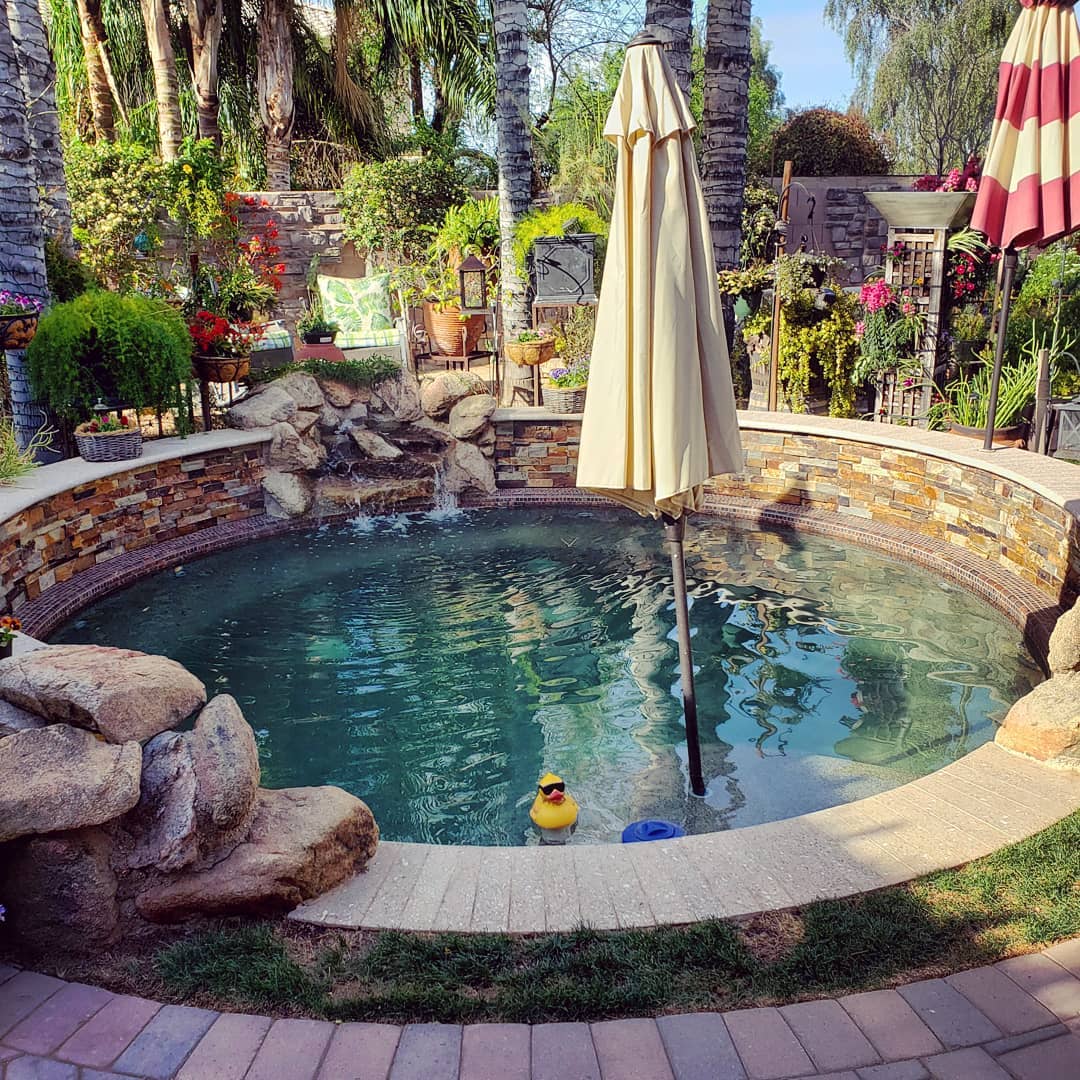 Our comprehensive pool maintenance services are designed to cater to the specific demands of our local climate and pool types.
