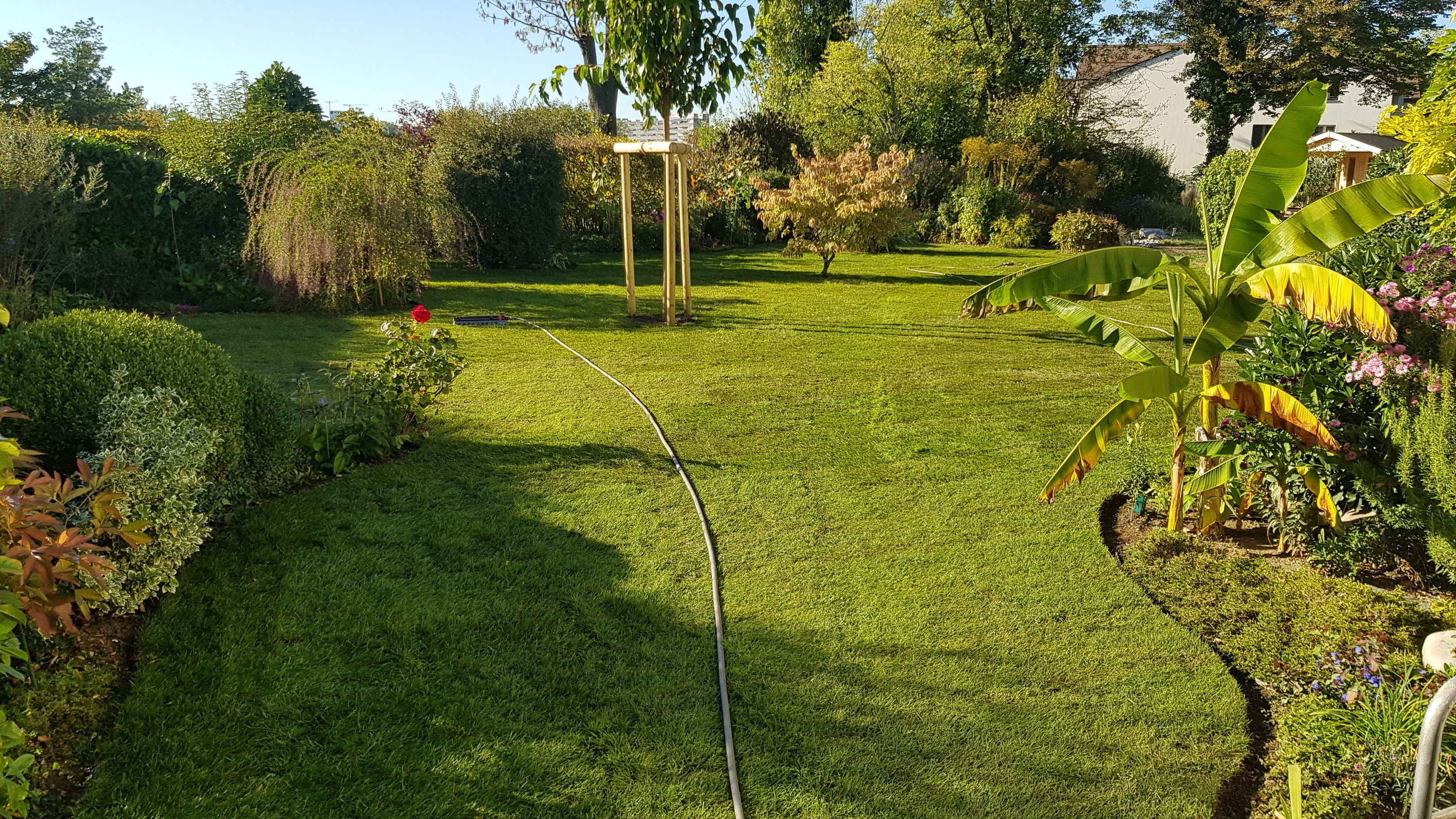 Bilder Bison Gartenbau AG