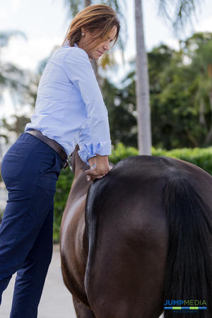 Images Palm Beach Equine Clinic