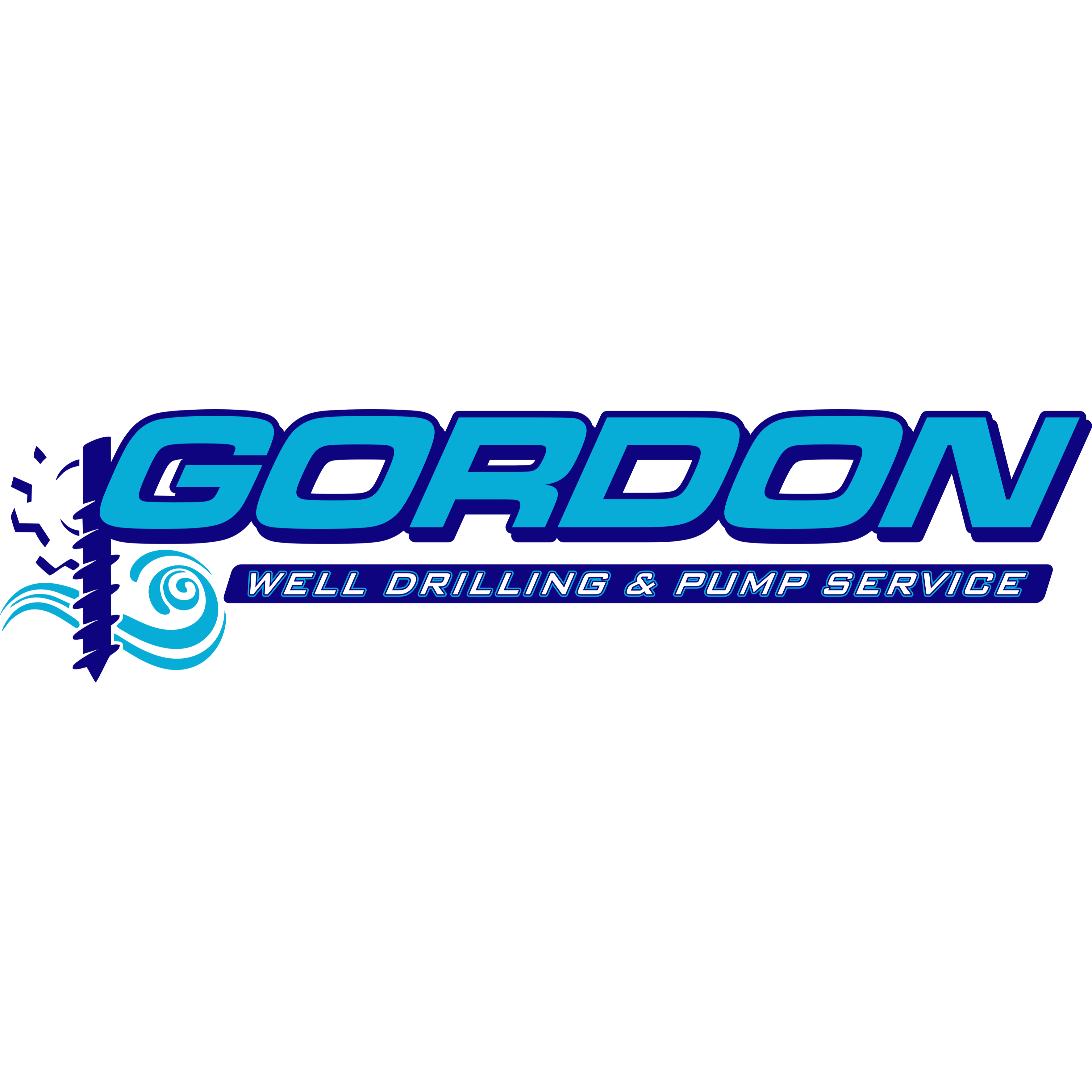 company logo