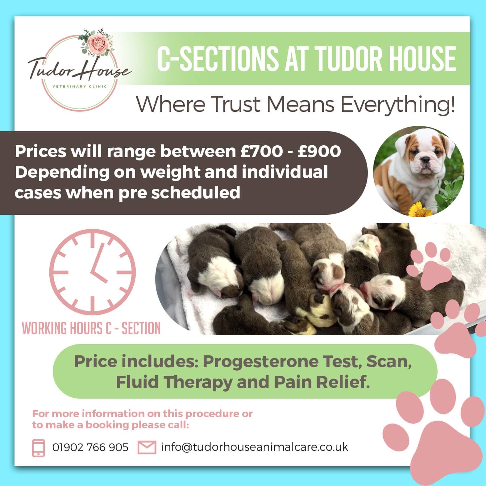 Images Trusted Vets Formally Tudor House Veterinary