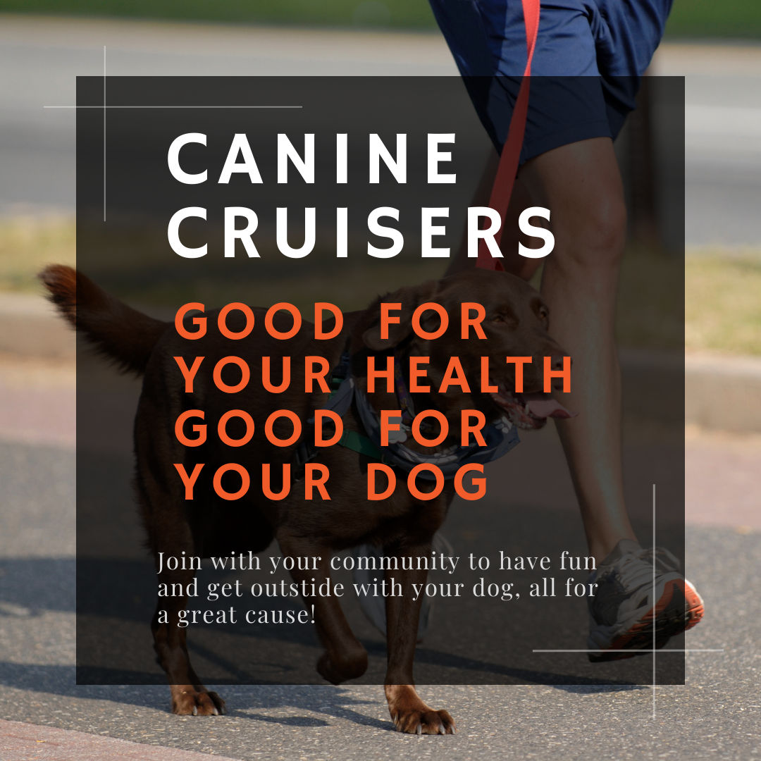 Best Dog Training And Pet Supply Store In Stroudsburg, PA