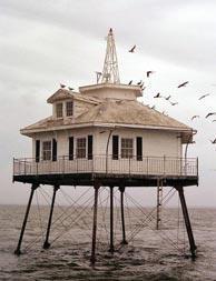 Ole Bay Management, Inc.