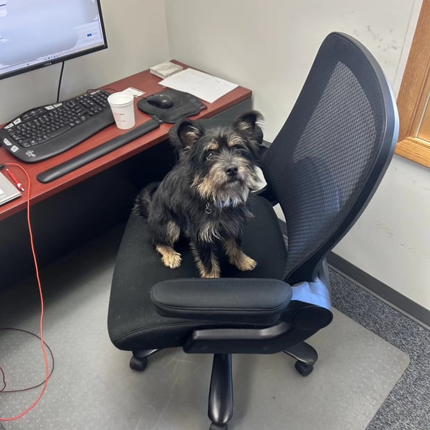 Images Nicole Hibbard - State Farm Insurance Agent