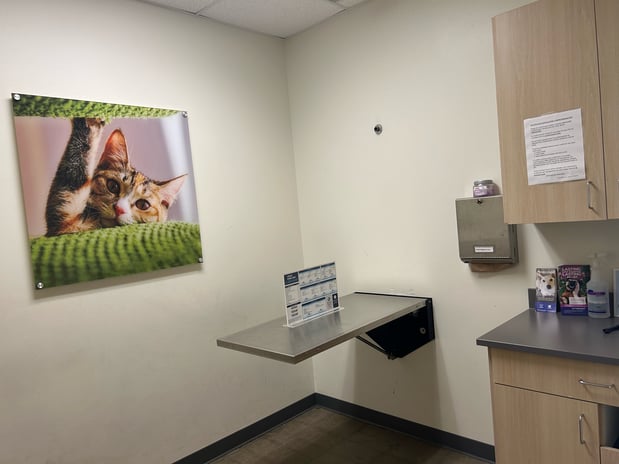 Images Vetco Total Care Animal Hospital