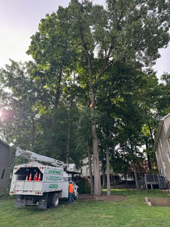 Images ER Tree Services LLC