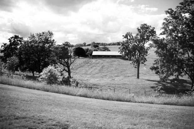 Images On Sunny Slope Farm
