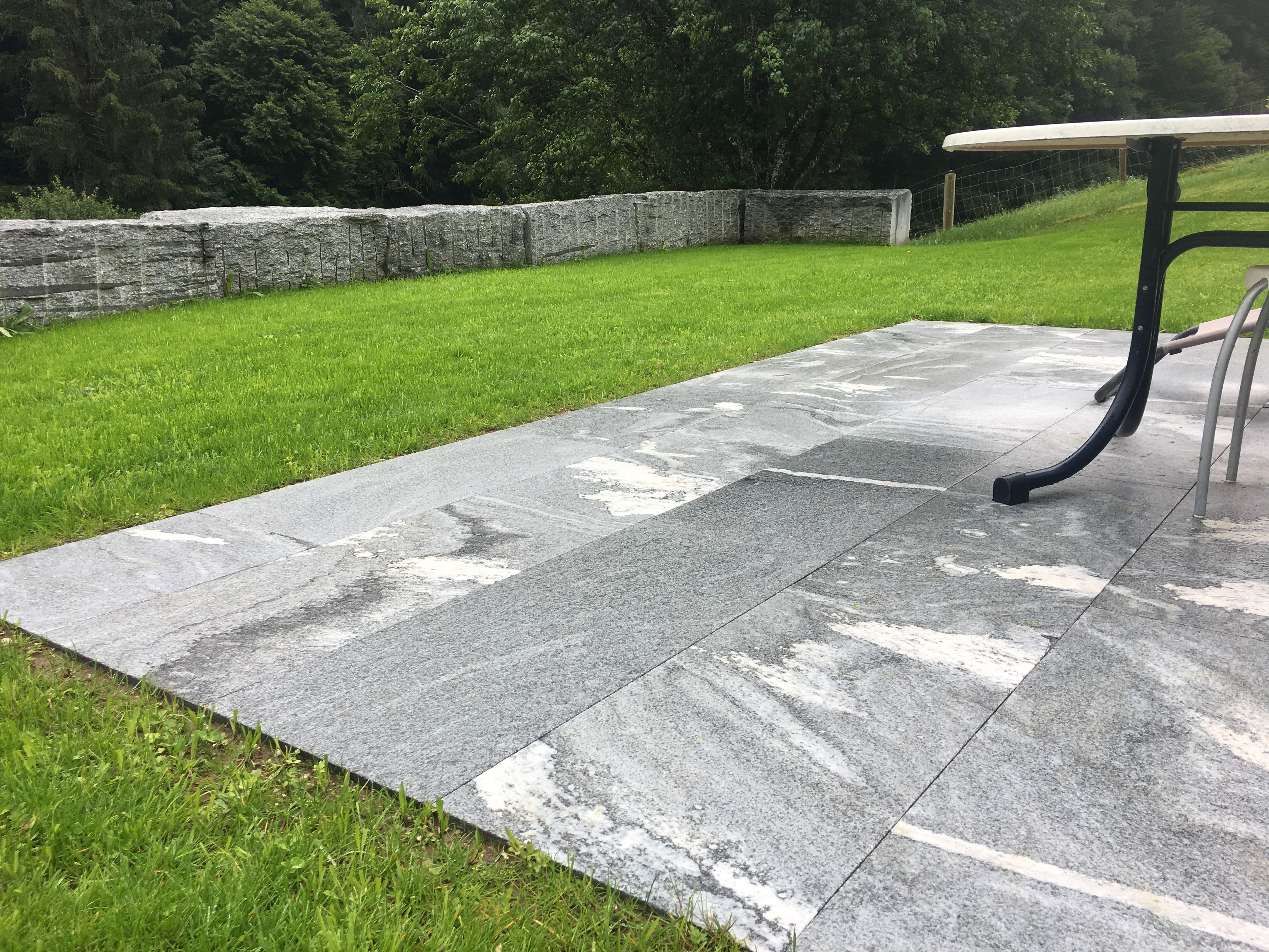 Bilder Morgenthaler Gärtnerei
