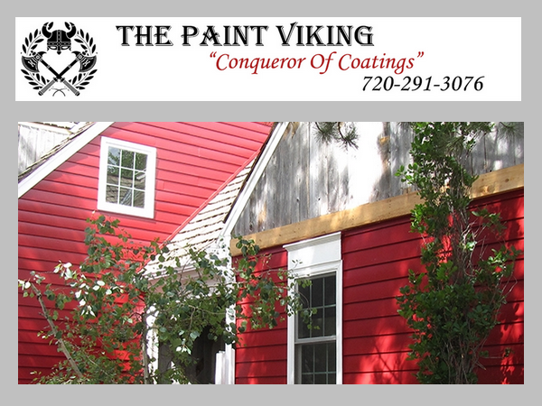 Images The Paint Viking