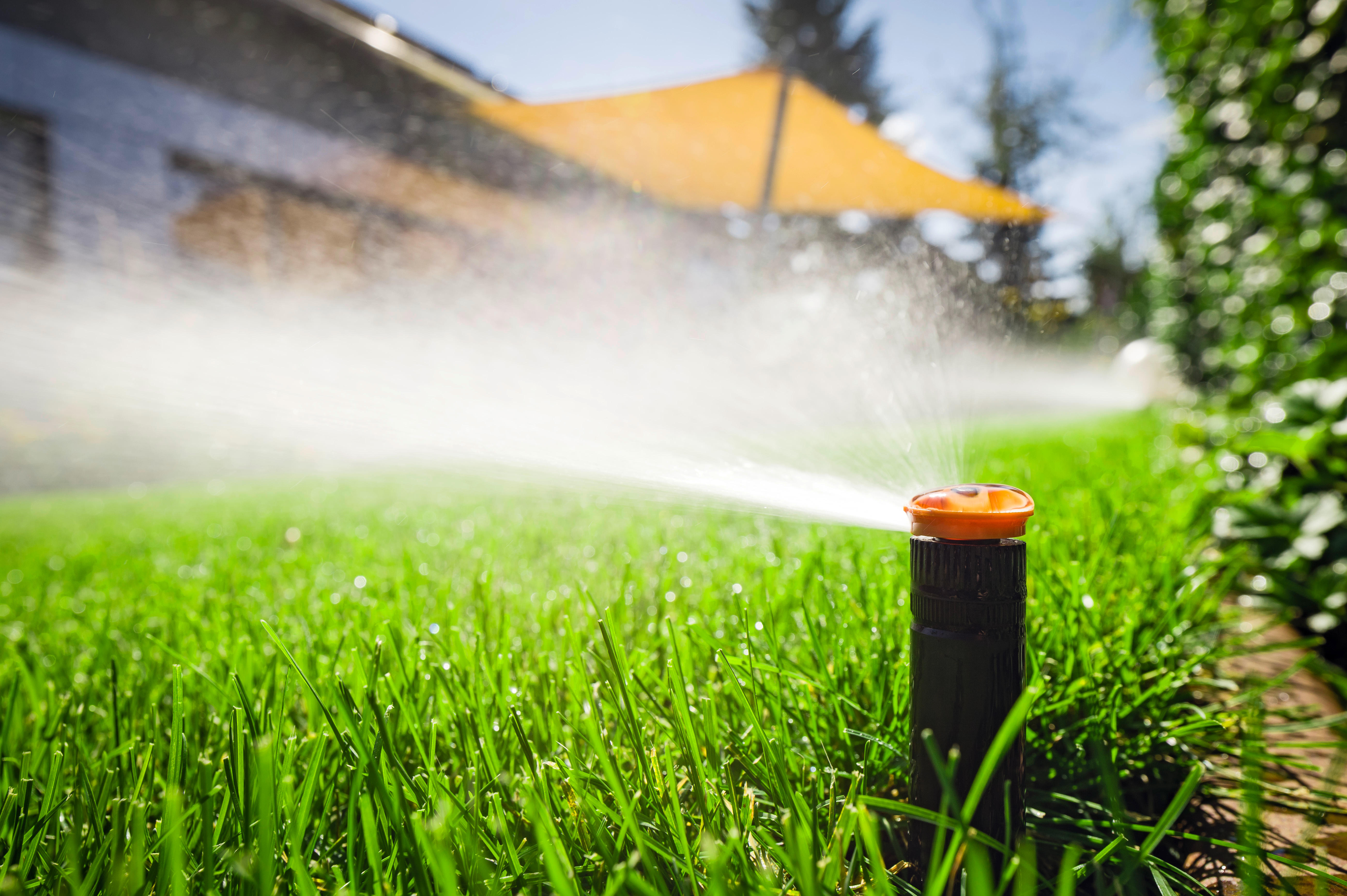Vatter Garten AG, Schwand 9 in Münsingen