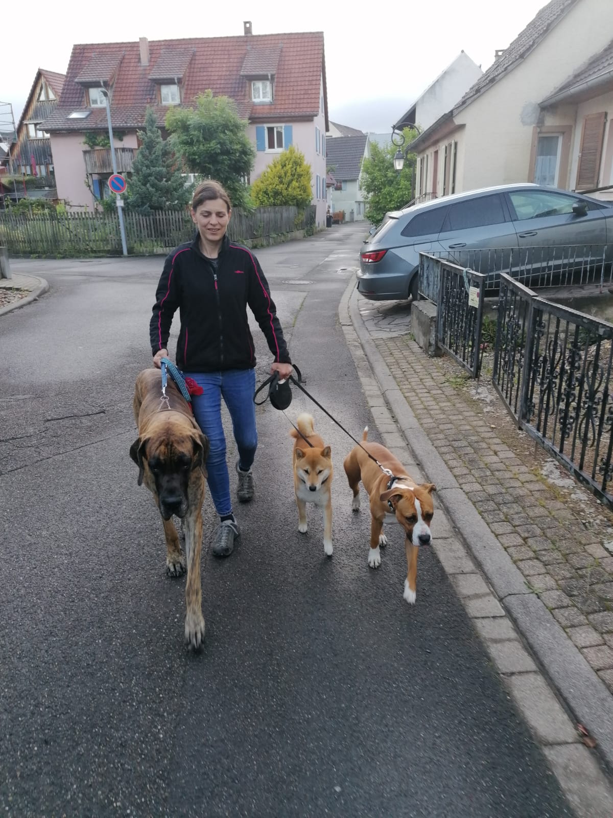 Nadine Zitzer Pfotenteam, Grendelgasse 9 in Riehen