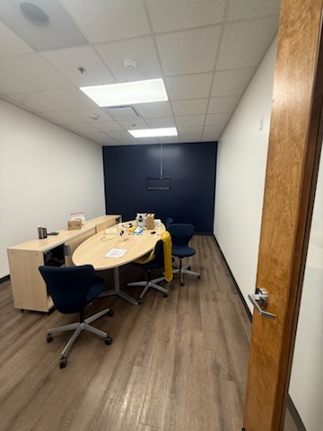 Professional Remodeling Ernesto Painting