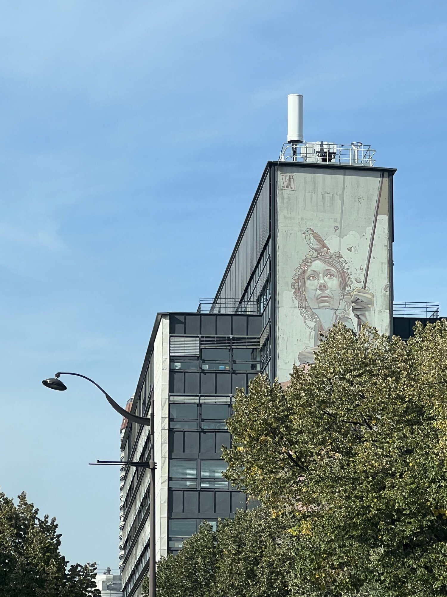 galerie image