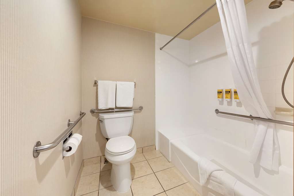 Guest Bath ADA Tub