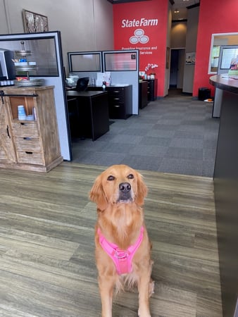Images Margaret Hopkins - State Farm Insurance Agent