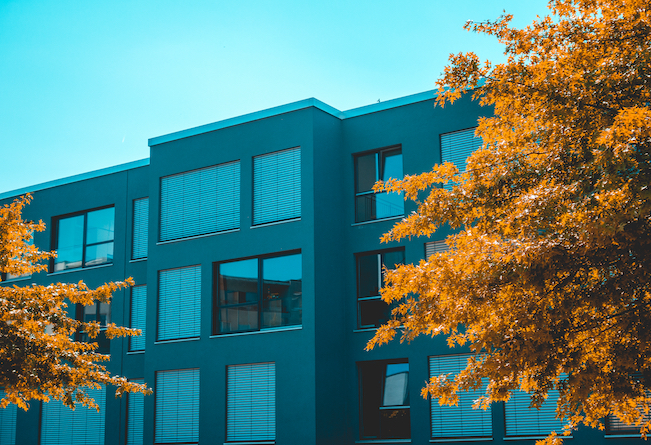 Images M.S. Services