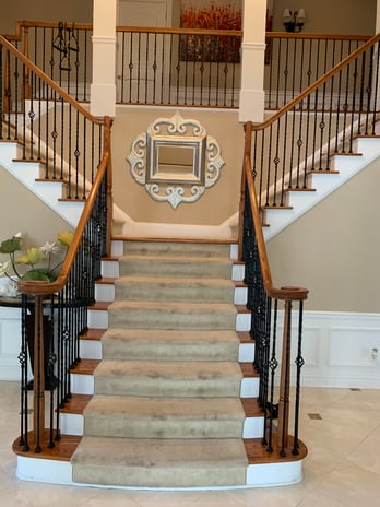 Images Elite Green Carpet Cleaning