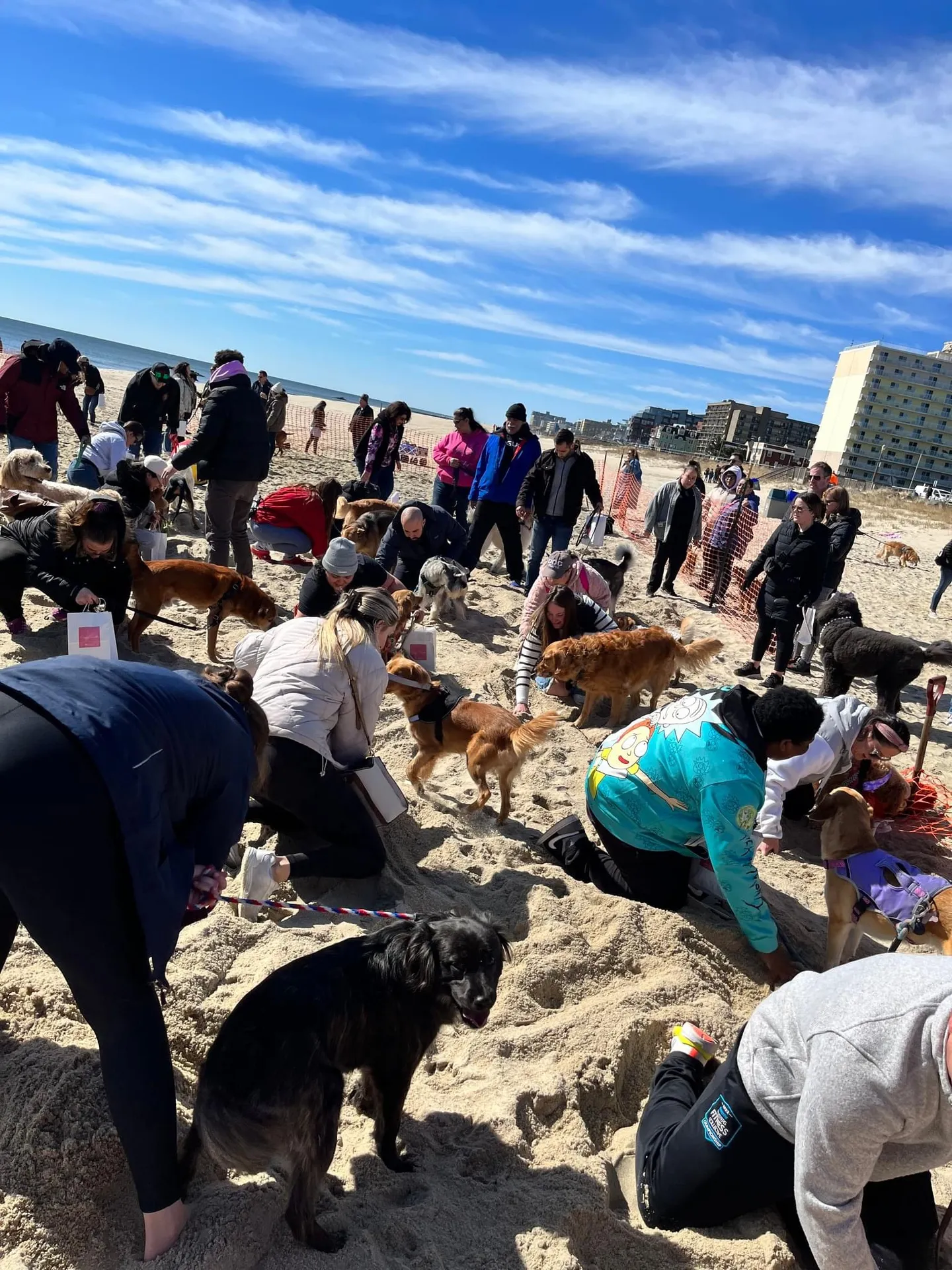 Image of Local Pet Event CAFE EVENT: Egg Hunt on the Beach Nearby