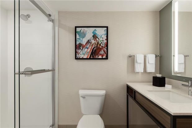 Images Hilton Garden Inn Atlanta Downtown