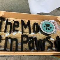 Images The Modern Paws