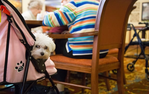 Images Willows of Ramsey Hill