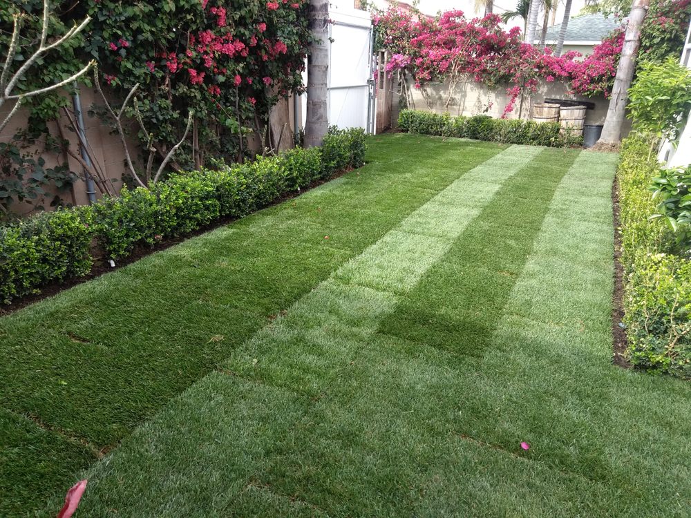 Fern's Complete Landscape & Construction Services