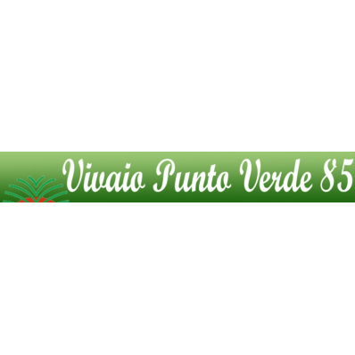 Punto Verde 85 Logo