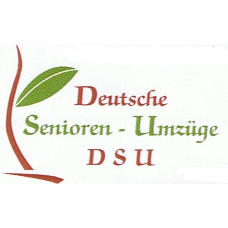 DSU-GmbH in Solingen - Logo