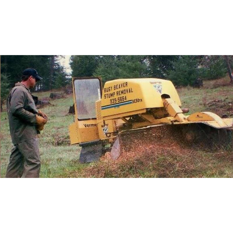 Busy Beaver Stump Removal