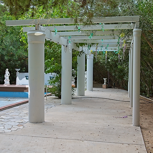 Images Cedar Rose Grove