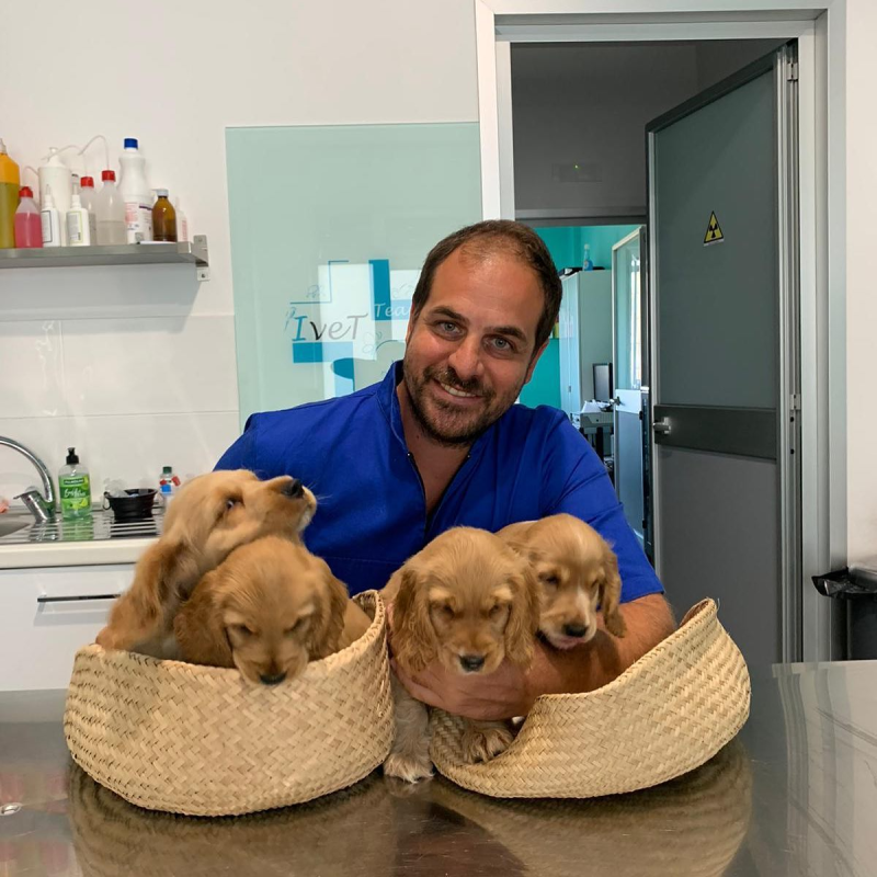 Images Centro Veterinario Ivet Team
