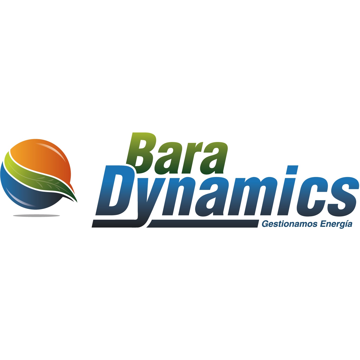 BARA DYNAMICS S.L. Logo