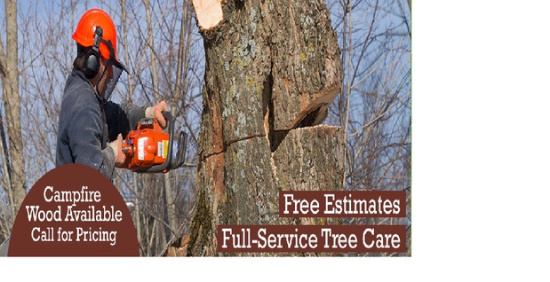 Images Tom's Tree Service