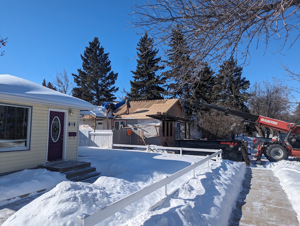 Images The Blue Spruce Builder