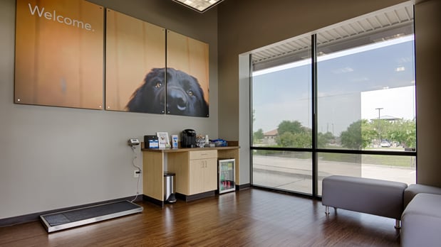 Images CityVet | Frisco