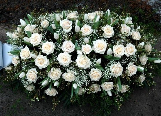 Gartenbau Diner e.U., Kolbegasse 34 in Wien