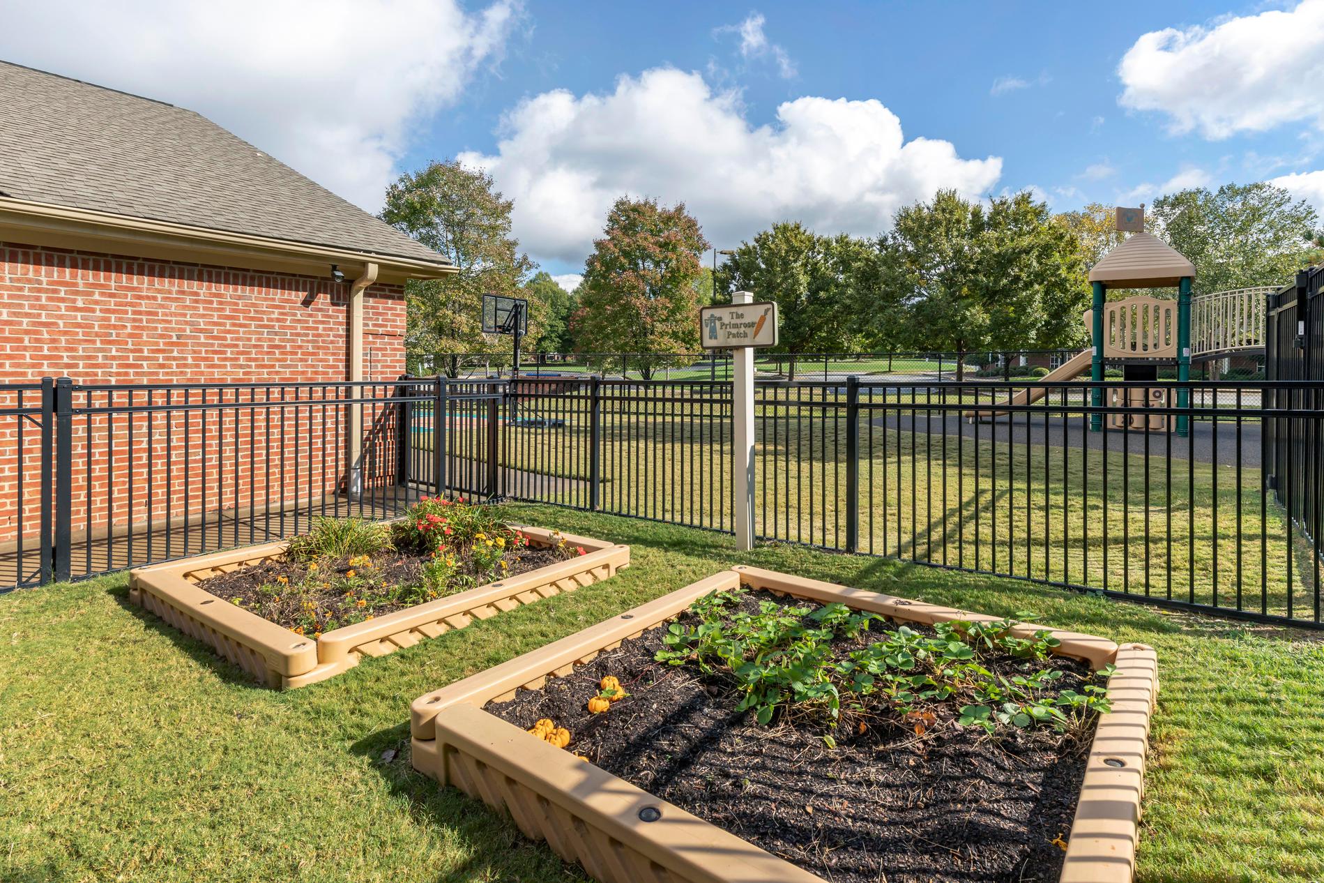 Images Primrose School of Brassfield