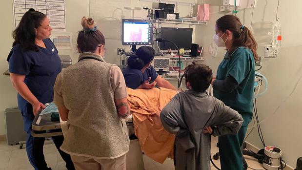Images VCA Hollywood Animal Hospital