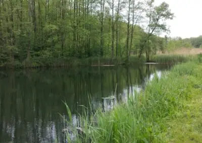 Angelsee Bendestorfer Wassermühle Inhaber: Dirk Schmanns, Bendestorfer Chaussee 17 in Bendestorf