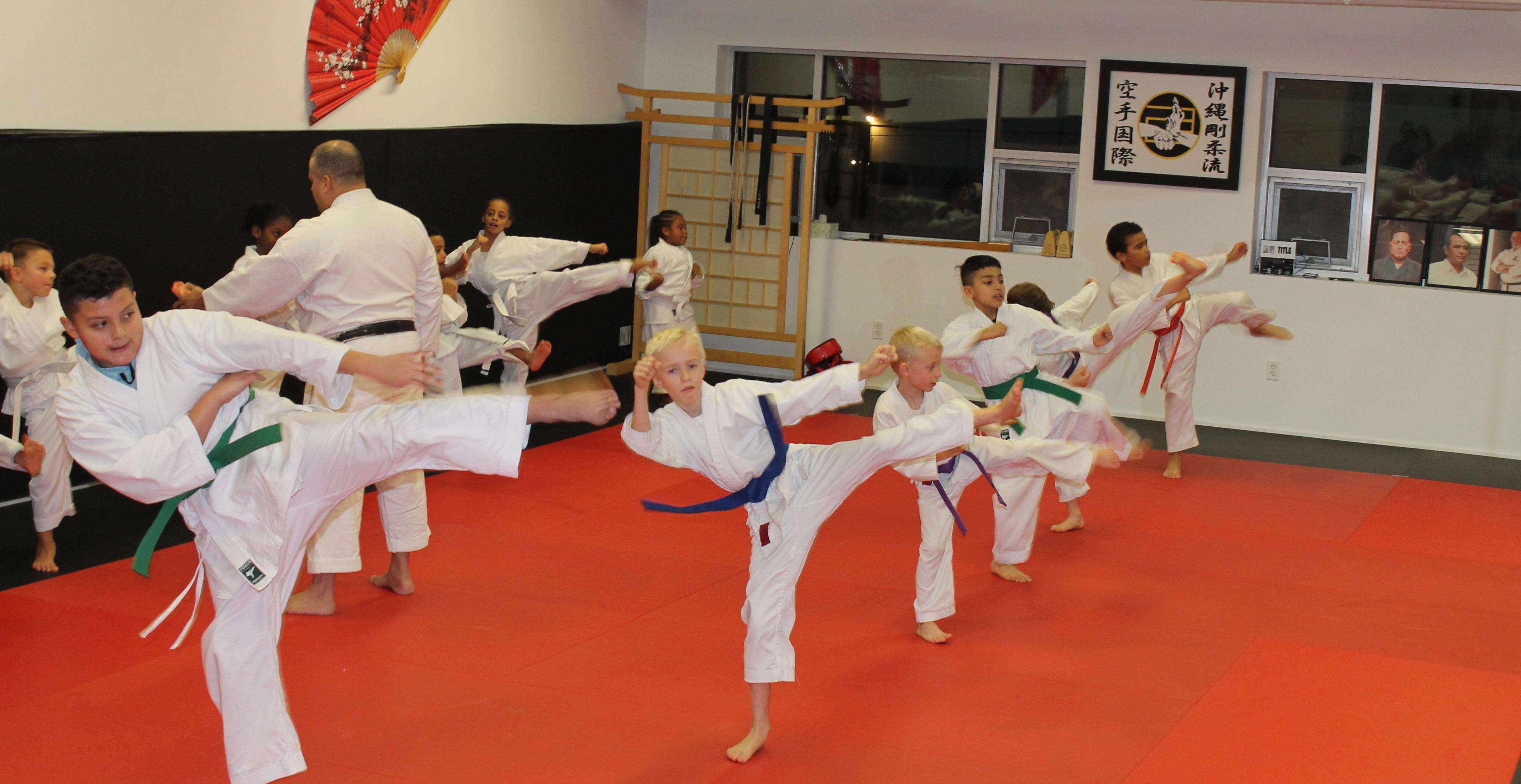 Kids Karate at Ki Salem MA