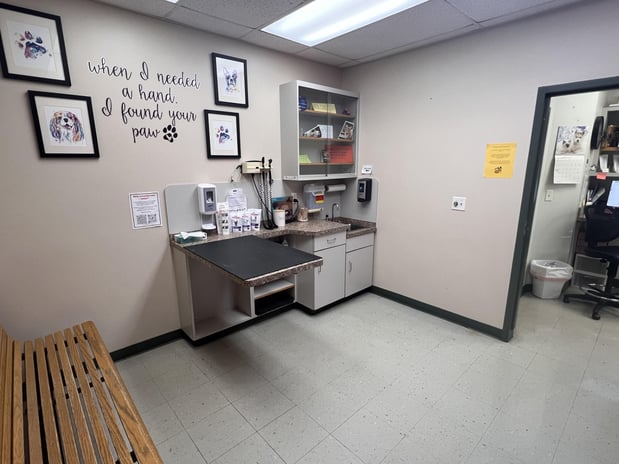 Images VCA Green Animal Hospital