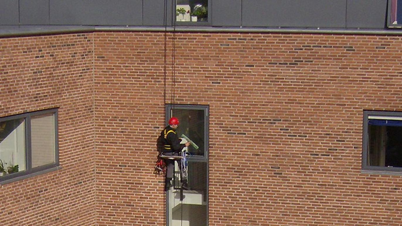 Images Lausten & Co.