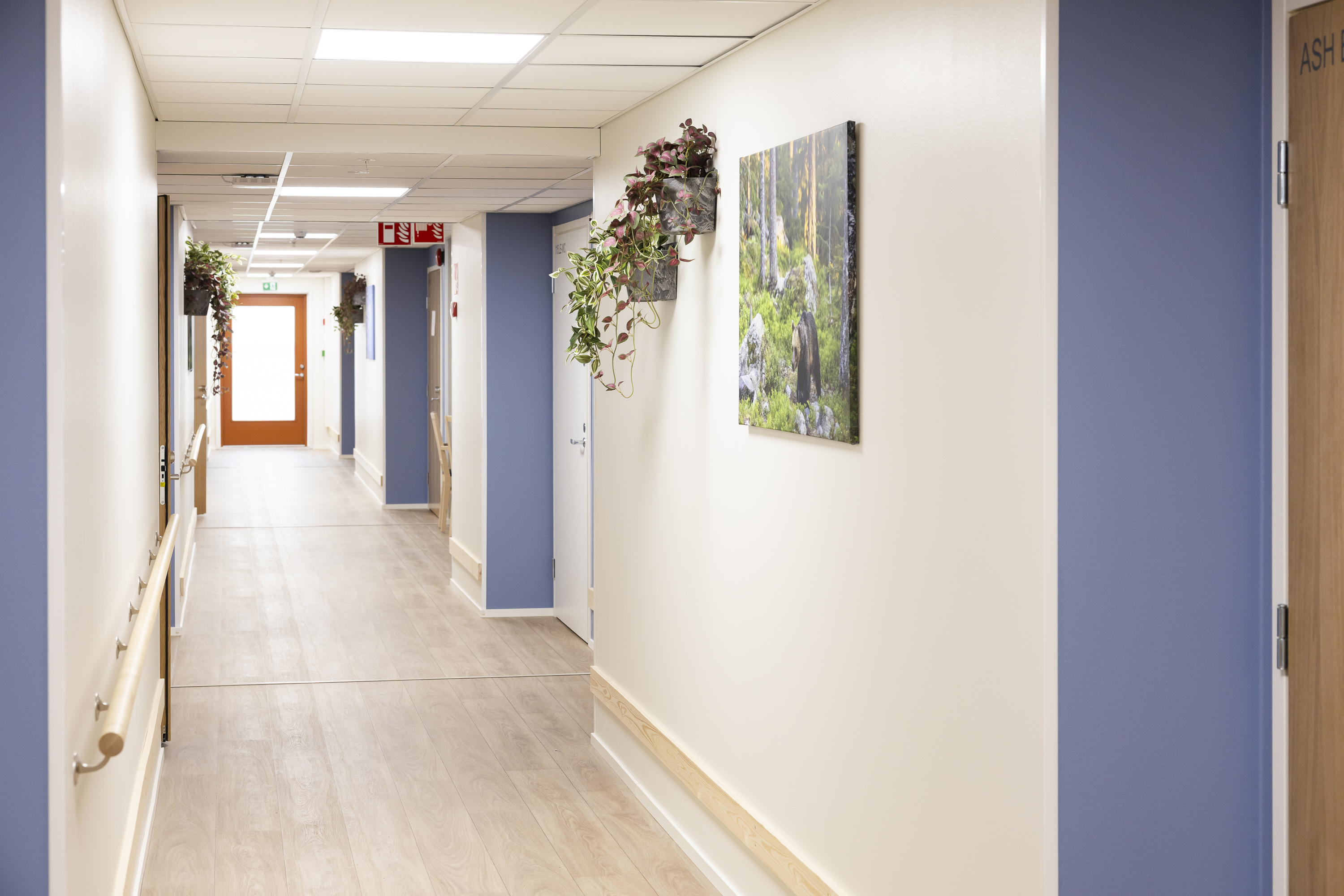 Images Solum Toukolakoti