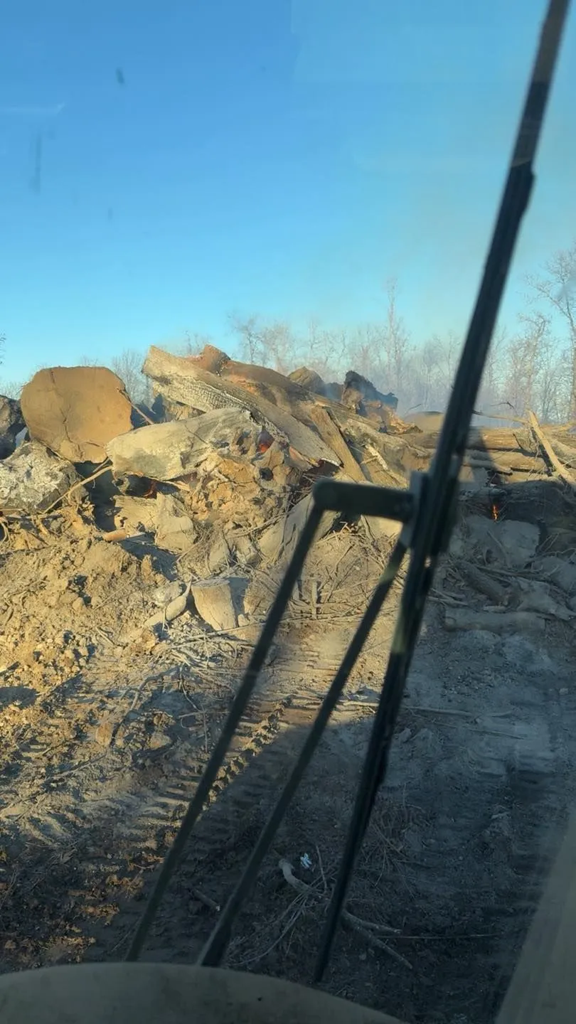 Casey's Tree Service LLC Image