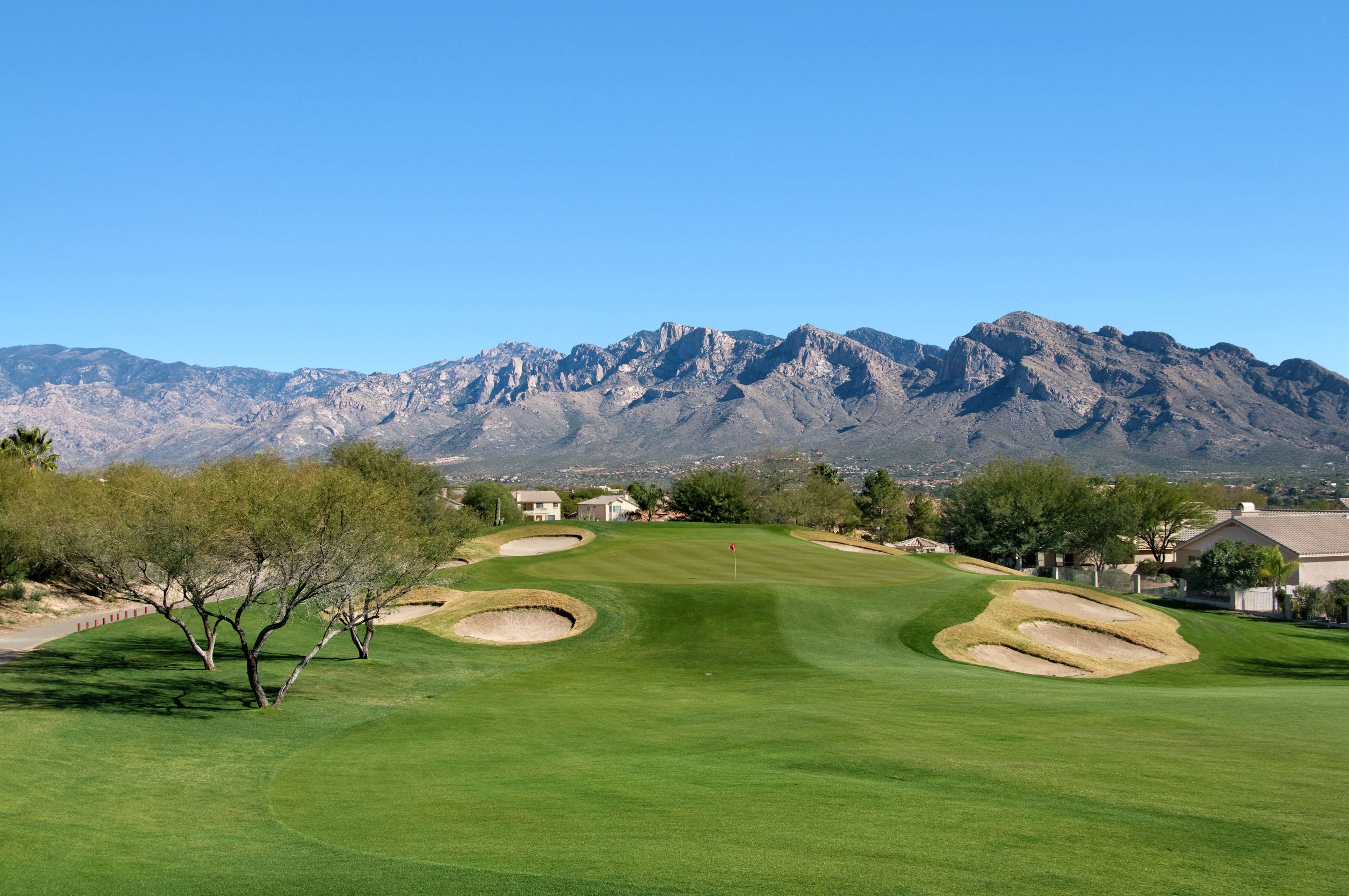 Аризона туксон. Basis Oro Valley, Оро Велли, Аризона. Trams in Tucson Arizona. Is salary good in Tucson, Arizona. Basis Oro Valley, Оро Велли, Аризона стоимость обучения для иностранцев.