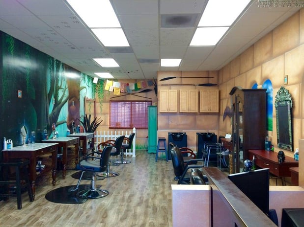 Images Hair Fairies The Head Lice Helpers Los Angeles