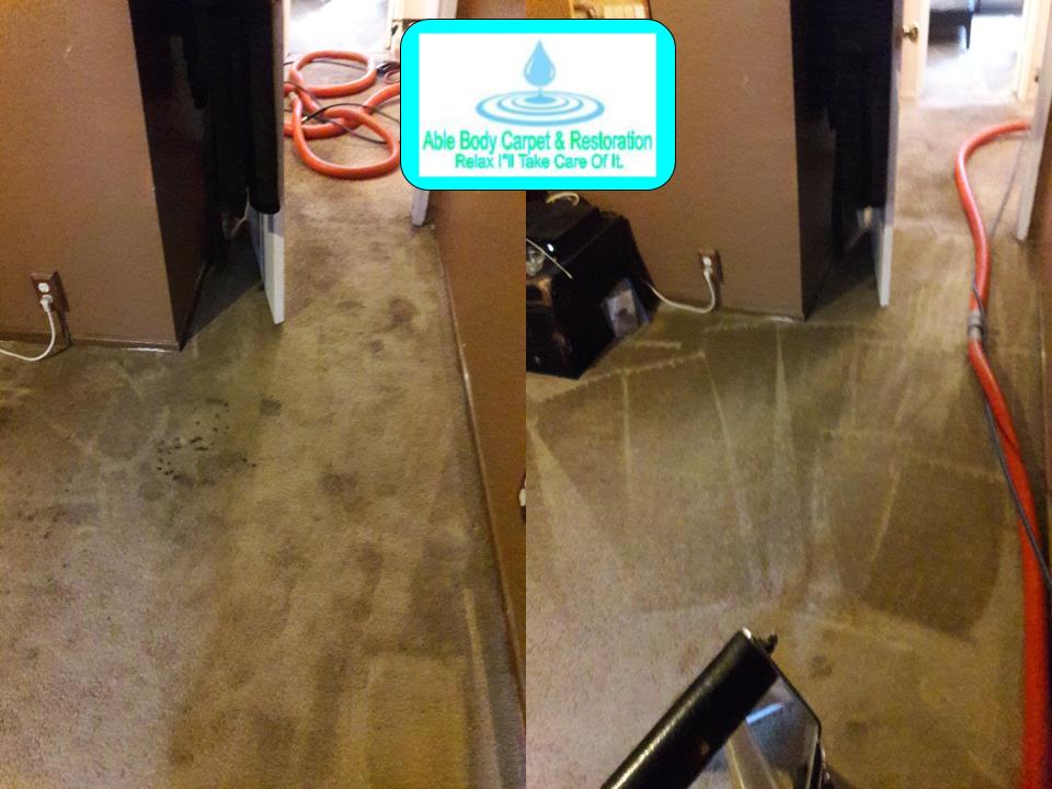 Able Body Carpet & Restoration Photo